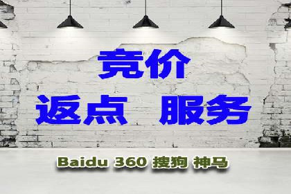 行业领先SEM托管代运营案例